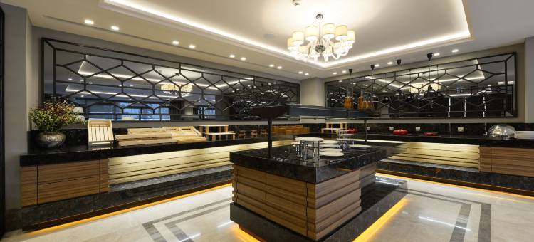 布尔萨市中心假日酒店(Holiday Inn Bursa - City Centre)图片