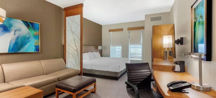 佛罗伦萨市中心凯悦嘉轩酒店(Hyatt Place Florence Downtown)图片