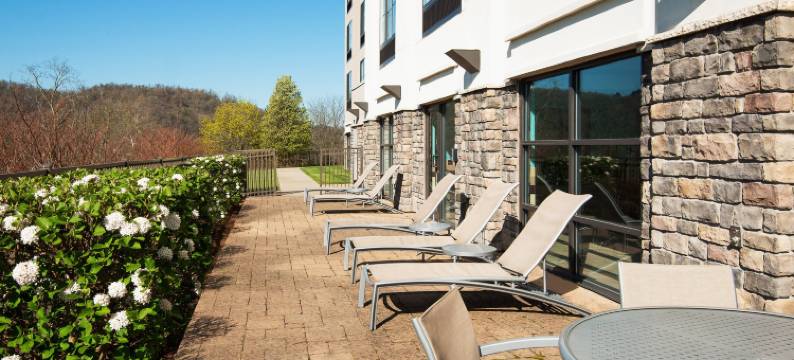 惠灵特瑞阿德尔福亚地区万豪SpringHill酒店(SpringHill Suites Wheeling Triadelphia Area)图片