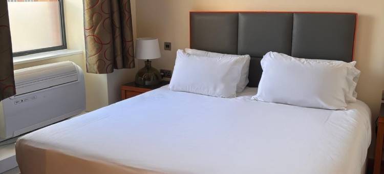 艾康酒店(Icon Hotel)图片