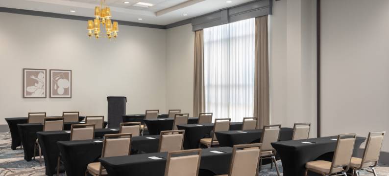 洛特爱斯丽希尔顿安泊酒店(Embassy Suites by Hilton Charlotte Ayrsley)图片