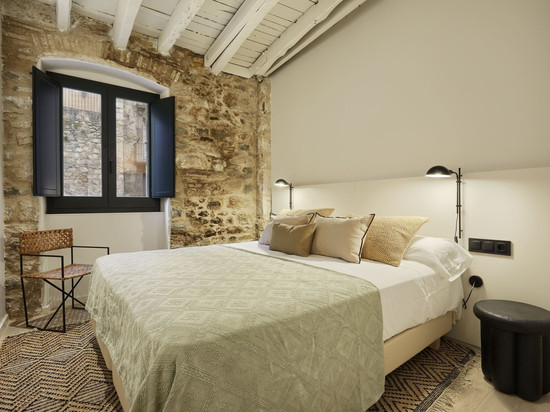 吉罗那的画布公寓和阁楼