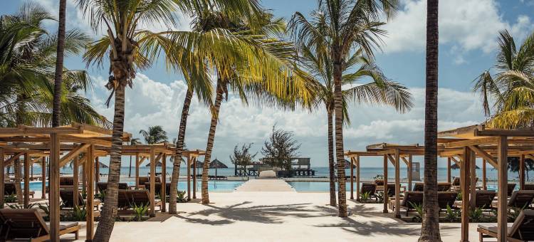 JAZ精英极光(JAZ Elite Aurora)图片