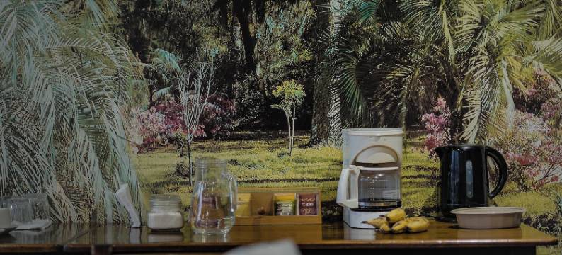 图坎阿拉胡埃拉酒店(Hotel El Tucan Alajuela)图片