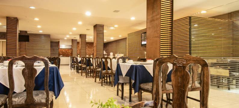 Hotel Argento Zacatecas图片