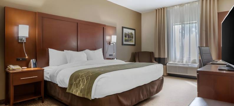 约翰逊城舒适套房酒店-近大学城(Comfort Suites Johnson City Near University)图片