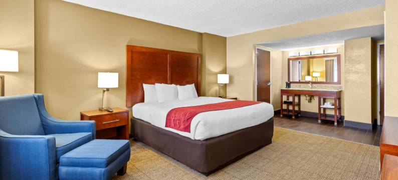 北莱克兰I-4舒适套房酒店(Comfort Inn & Suites Lakeland North I-4)图片