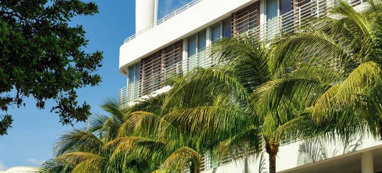 柯林斯庭院南海滩(Collins Court South Beach)图片