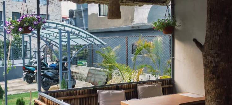 The Mango Tree- Backpackers Hostel图片