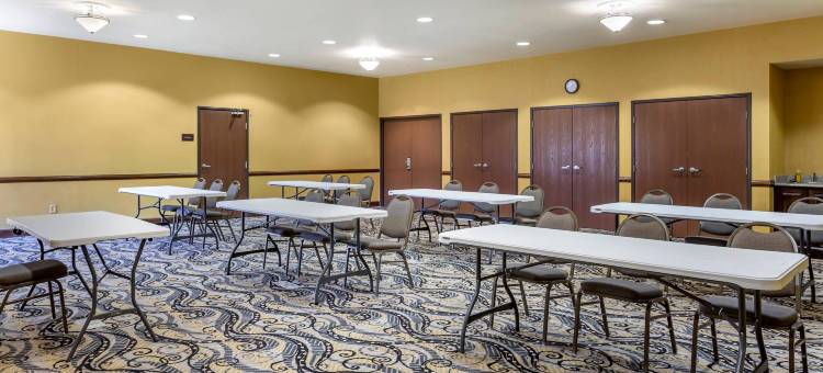 琼斯伯勒大学区舒适套房酒店(Comfort Suites Jonesboro University Area)图片