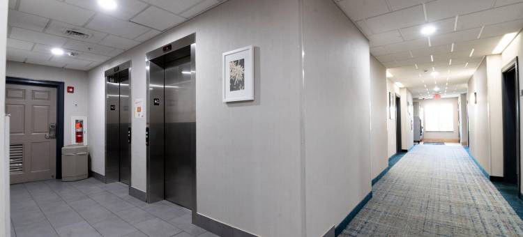 宾州西哈里斯堡 - 赫尔希西丽怡酒店(Country Inn & Suites by Radisson, Harrisburg - Hershey West, PA)图片