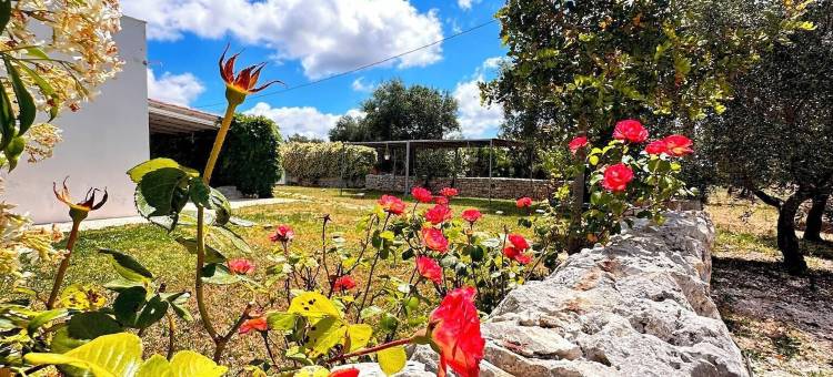 特鲁利花园库梅尔塞(Giardino dei Trulli Cummerse)图片