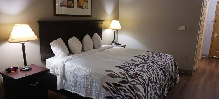 米德兰红屋顶套房酒店(Red Roof Inn & Suites Midland)图片