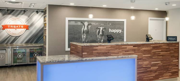 诺基山-哈特福德南欢朋套房酒店(Hampton Inn & Suites by Hilton Rocky Hill-Hartford South)图片