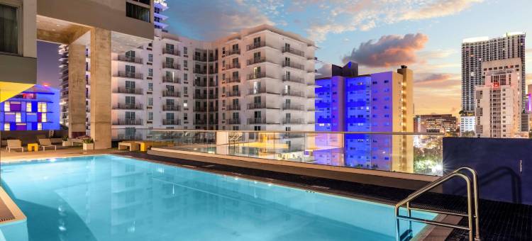 迈阿密布里克尔英迪格酒店(Hotel Indigo MIAMI BRICKELL by IHG)图片