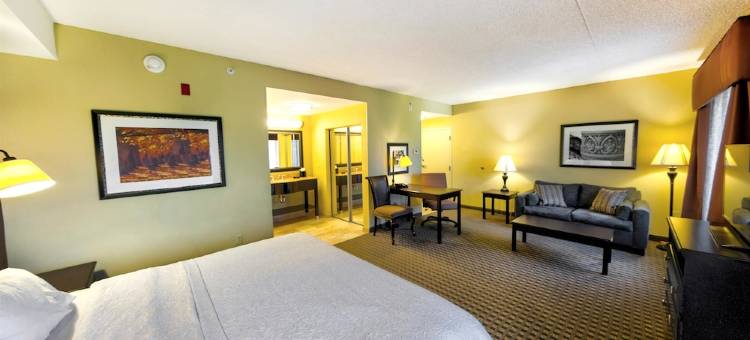 查兹佛德欢朋套房酒店(Hampton Inn & Suites Chadds Ford)图片