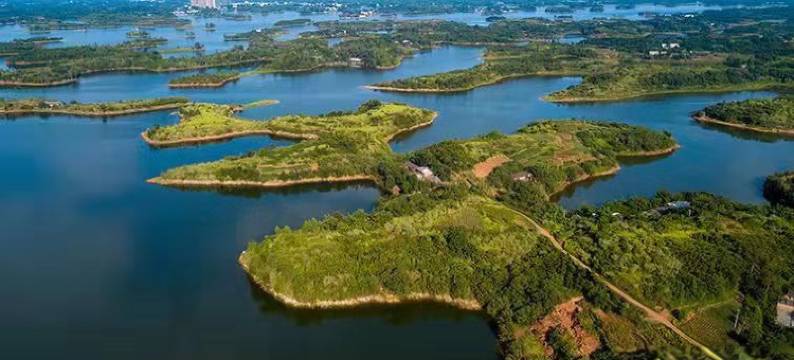 东部新区子归苑酒店图片