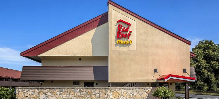 红顶优质酒店-波士顿弗雷明汉(Red Roof Plus+ Boston - Framingham)图片
