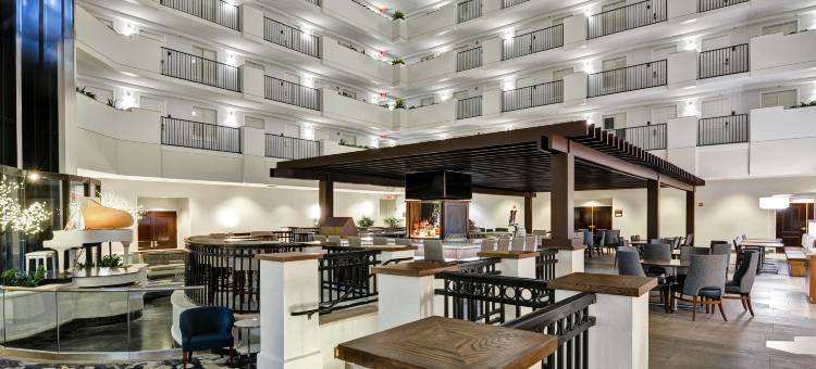 奥兰多市中心希尔顿安泊酒店(Embassy Suites by Hilton Orlando Downtown)图片