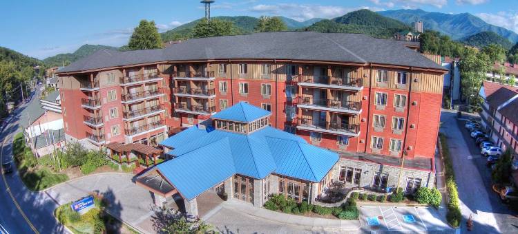 希尔顿花园旅馆-加特林堡(Hilton Garden Inn Gatlinburg)图片