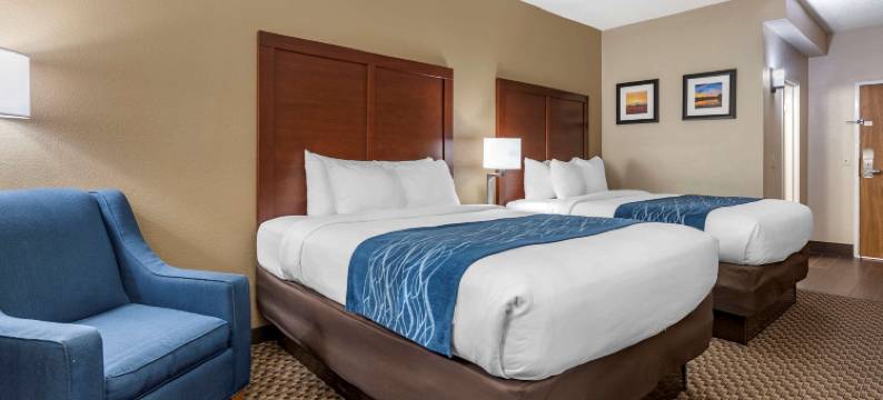 科科莫赛道附近舒适酒店(Comfort Inn Near Kokomo Speedway)图片