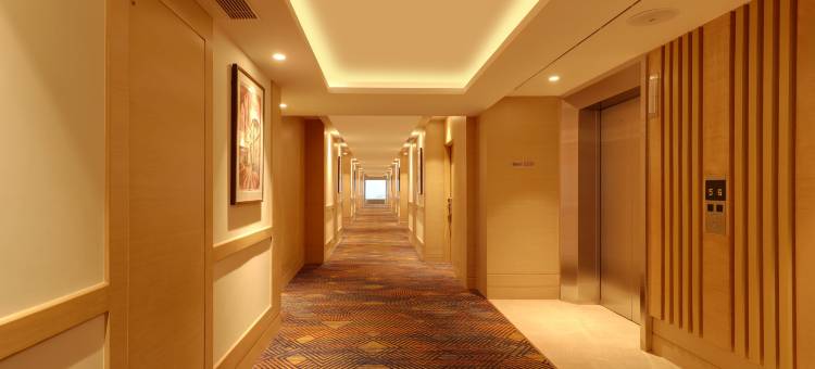 占西柠檬树酒店(Lemon Tree Hotel, Jhansi)图片