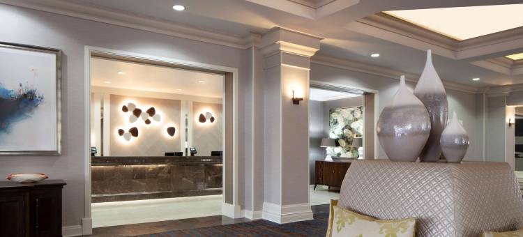 圣彼得堡海湾希尔顿酒店(Hilton St. Petersburg Bayfront)图片