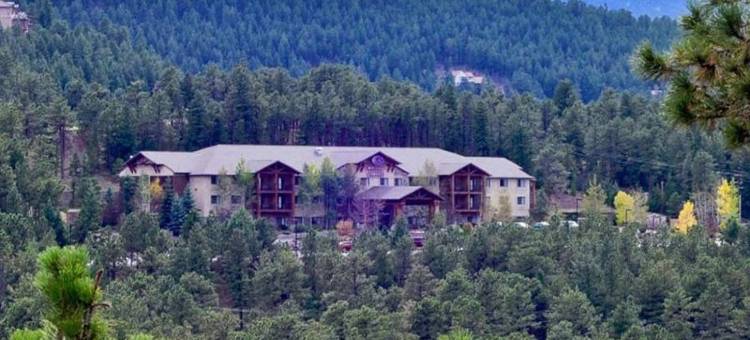 埃弗格林百汇金西舒适套房酒店(Comfort Suites Golden West on Evergreen Parkway)图片