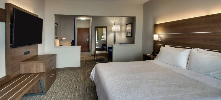 沃基根智选假日套房酒店 - IHG 旗下酒店(Holiday Inn Express & Suites Chicago North-Waukegan-Gurnee)图片