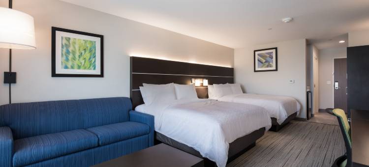 洲际酒店集团智选假日酒店及套房芝加哥 - 霍夫曼庄园(Holiday Inn Express & Suites Chicago - Hoffman Estates)图片