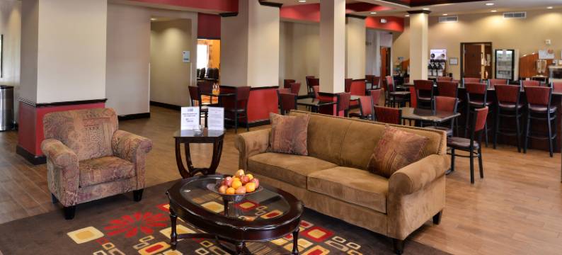 智选假日套房酒店谢尔曼HWY 75(Holiday Inn Express & Suites SHERMAN HWY 75 by IHG)图片