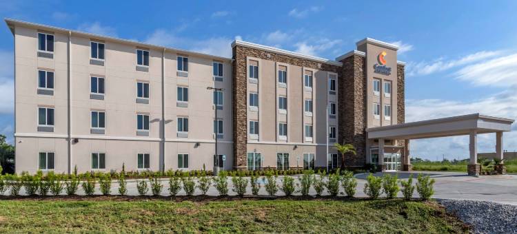 舒适套房酒店(Comfort Inn & Suites)图片