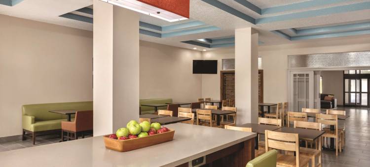 丽笙乡村套房酒店-RJ体育场-坦帕机场东(Country Inn & Suites by Radisson, Tampa Airport East-RJ Stadium)图片