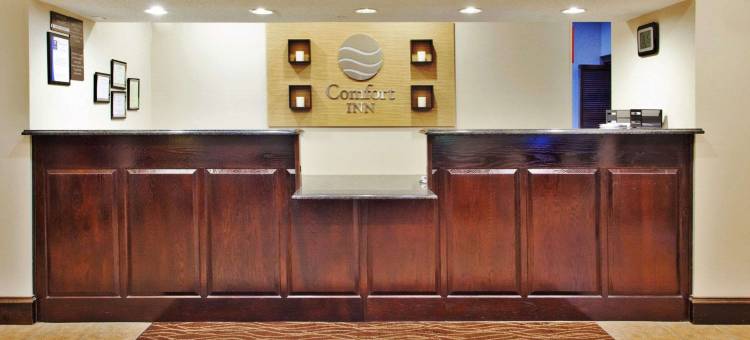 舒适酒店(Comfort Inn)图片