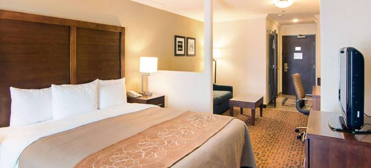 休斯顿基-卡蒂舒适套房酒店(Comfort Inn & Suites Houston West-Katy)图片