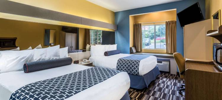 斯托克布里奇-亚特兰大I-75麦客达套房酒店(Microtel Inn & Suites by Wyndham Stockbridge/Atlanta I-75)图片