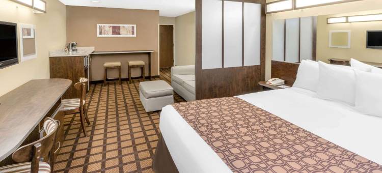 奥索卡温德姆麦客达套房酒店(Microtel Inn & Suites by Wyndham Ozark)图片