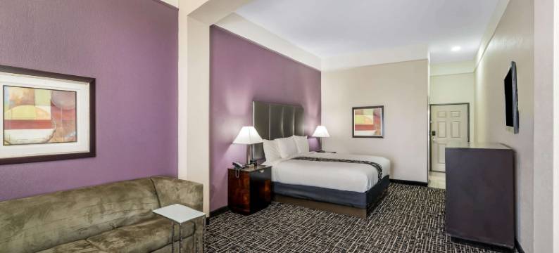 坎顿拉昆塔温德姆套房酒店(La Quinta Inn & Suites by Wyndham Canton MS)图片