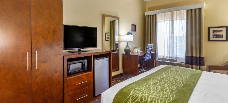 北奥罗拉-内珀维尔舒适套房酒店(Comfort Inn & Suites North Aurora - Naperville)图片