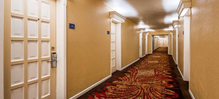 达拉斯市中心 6 号汽车旅馆(Motel 6 Dallas TX  Downtown)图片