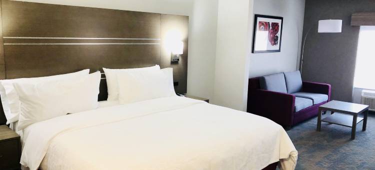 智选假日套房酒店孟菲斯(Holiday Inn Express & Suites Memphis Arpt Elvis Presley Blv)图片