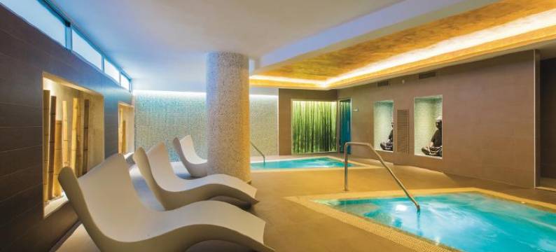 Riu旧金山酒店-限成人(Hotel Riu San Francisco - Adults Only)图片