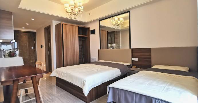 墅间琳舍公寓(南环西路分店)