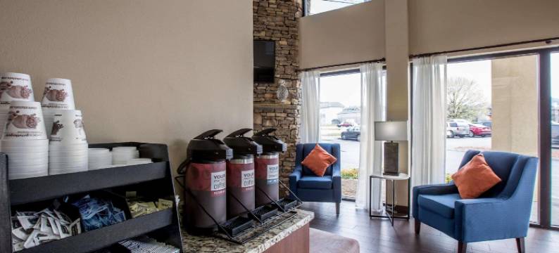 多利伍德街舒适酒店(Comfort Inn & Suites at Dollywood Lane)图片