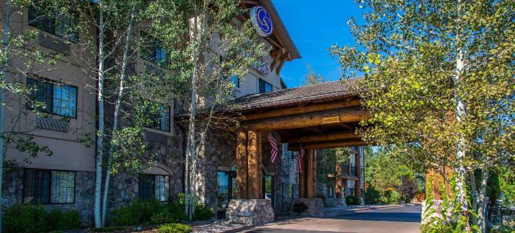 埃弗格林百汇金西舒适套房酒店(Comfort Suites Golden West on Evergreen Parkway)图片