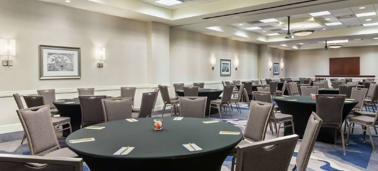 坦帕机场西岸希尔顿花园酒店(Hilton Garden Inn Tampa Airport Westshore)图片
