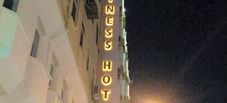 SV商务酒店(SV Business Hotel Diyarbakır)图片