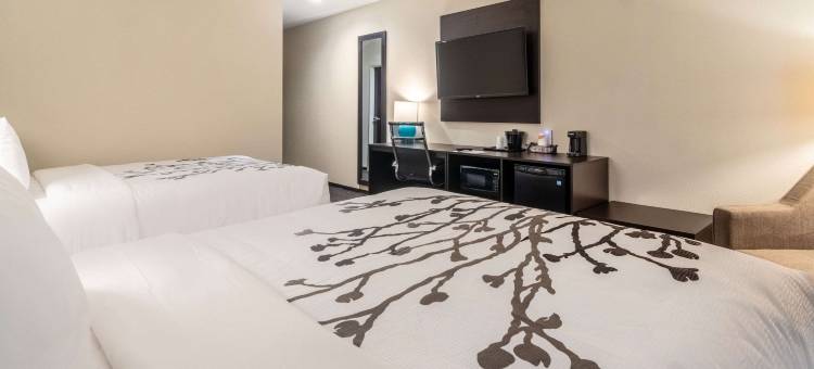 达拉斯西北部舒眠- Irving(Sleep Inn Dallas Northwest - Irving)图片