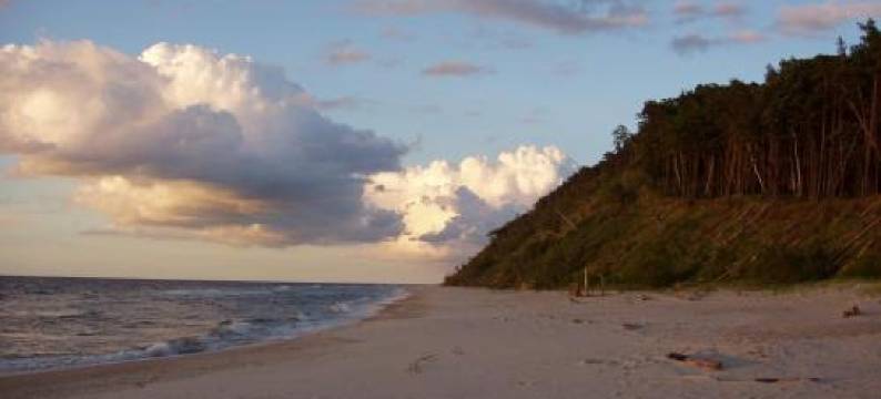 20公寓(Apartament 20)图片