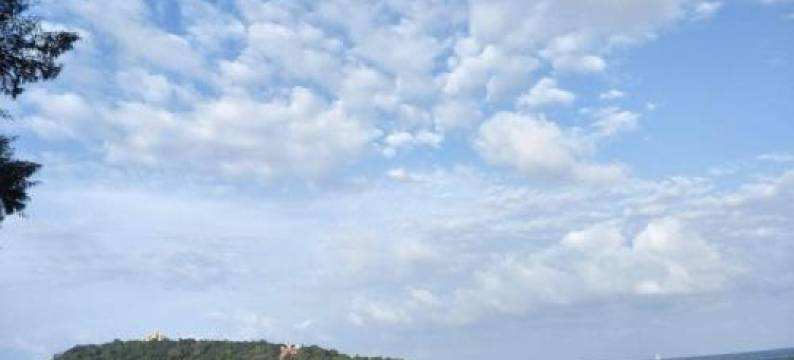 The Leaf Bankrut图片